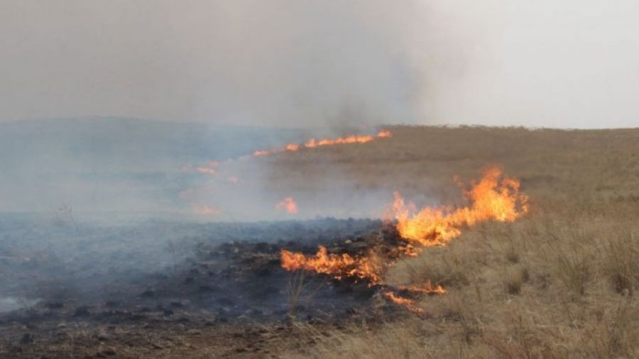 Сүүлийн 10 жилд бүртгэгдсэн ой, хээрийн түймрийн 54.2 хувь нь 4-6 сард тохиолдсон байна